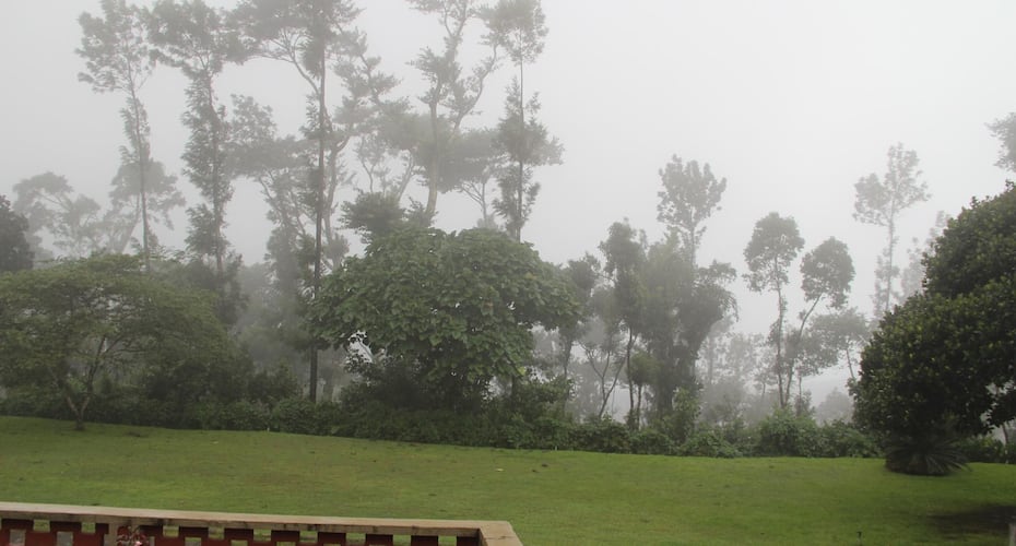 Woodway Estate And Homestay, Chikmaglur 5